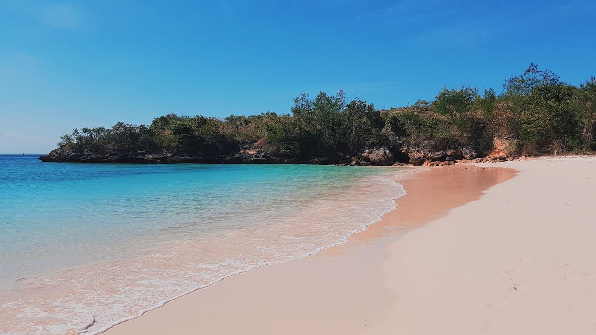 Pantai Pink Lombok: Surga Romantis dengan Pasir Unik Nan Langka