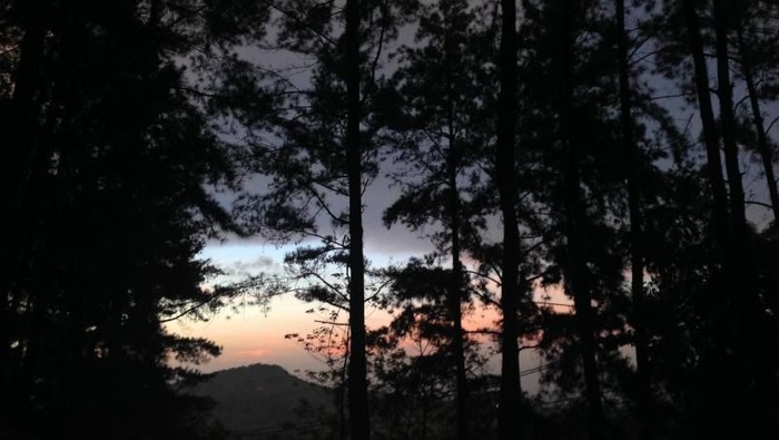Gunung Pancar Bogor
