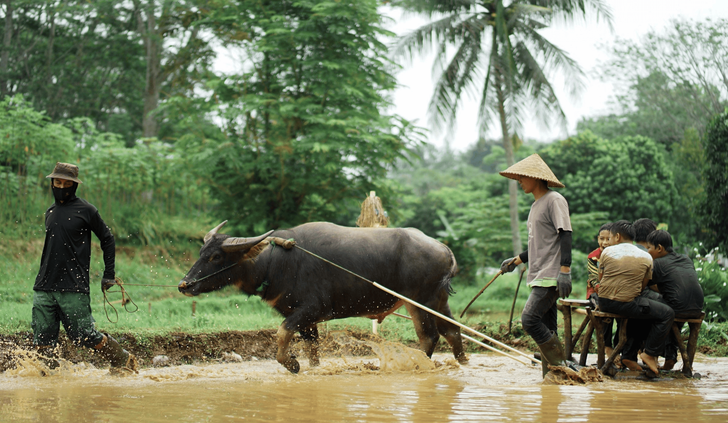INAGRO Bogor: Surga Edukasi Pertanian Ramah Lingkungan!