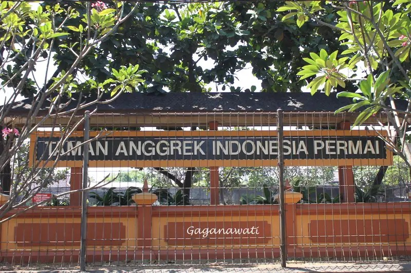 Taman Anggrek TMII Spot Instagramable & Edukatif di Jakarta!